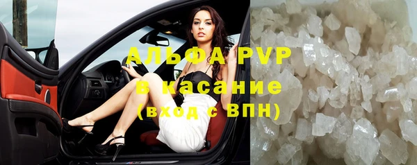 PSILOCYBIN Няндома