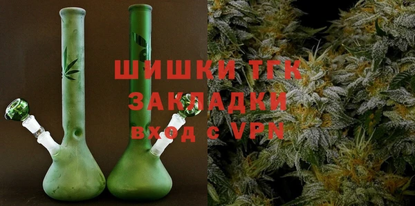 PSILOCYBIN Няндома